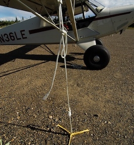 arctic ocean  5506.jpg