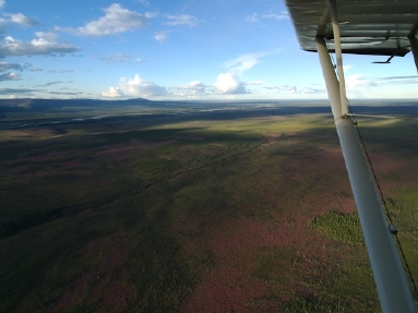 arctic ocean  5516.jpg