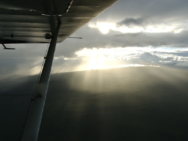 arctic ocean  5520.jpg