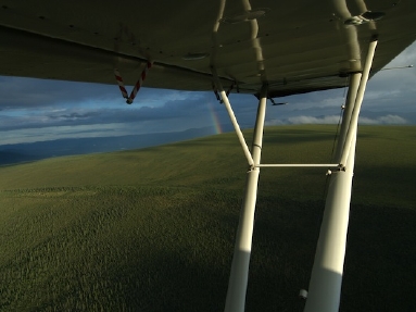 arctic ocean  5521.jpg