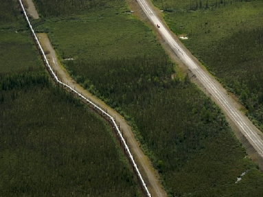 arctic ocean  5531.jpg