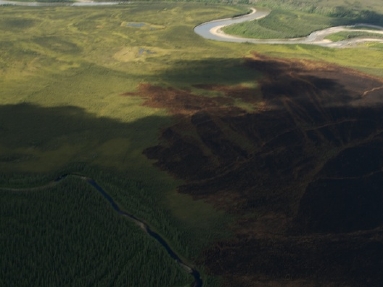 arctic ocean  5533.jpg