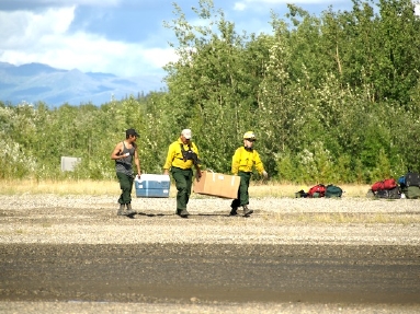 arctic ocean  5536.jpg