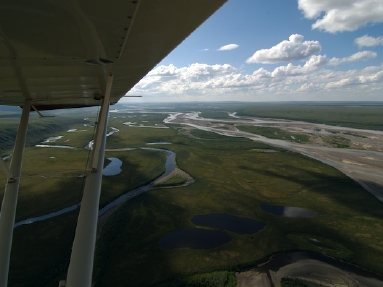 arctic ocean  5565.jpg