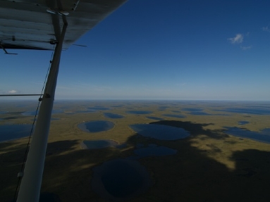 arctic ocean  5566.jpg